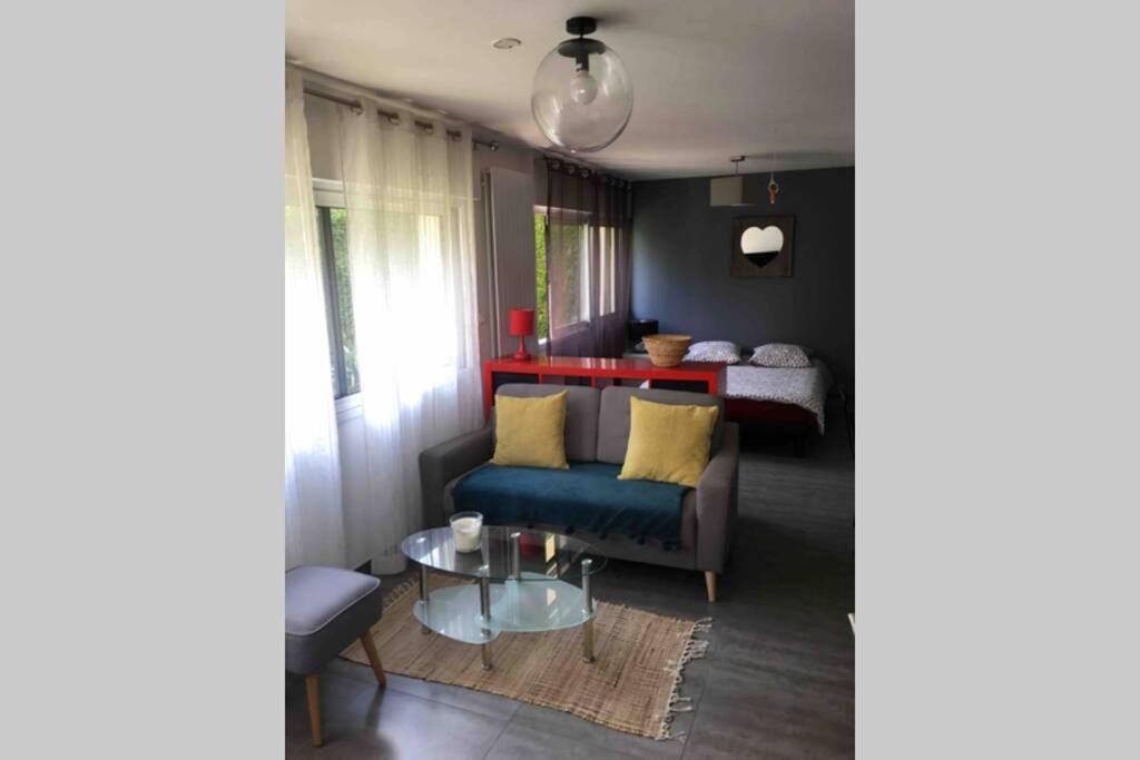 Bel Appartement En Rez De Jardin, 10Min Centre Et 300M Quais De Seine Wifi Ruan Exterior foto