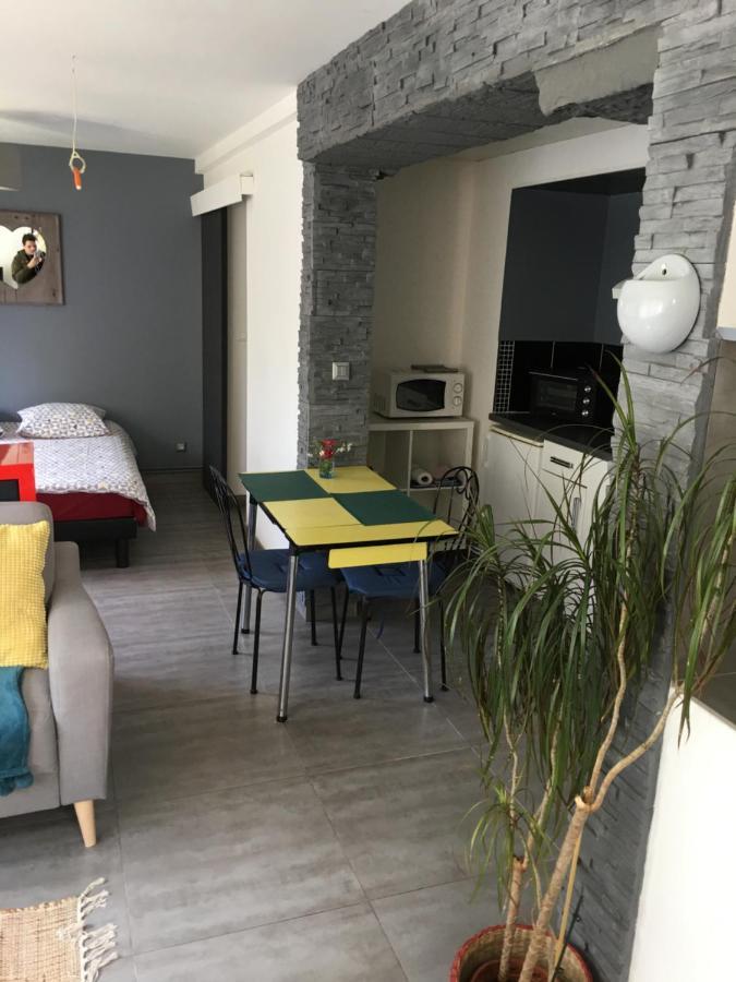 Bel Appartement En Rez De Jardin, 10Min Centre Et 300M Quais De Seine Wifi Ruan Exterior foto